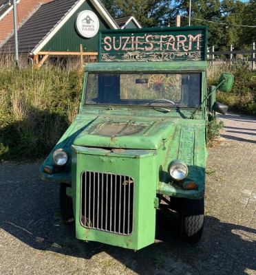 WS-1.jpg